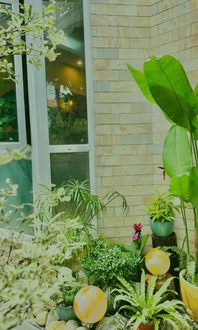 Cây xanhCảnh quan sân vườnXem thêm →